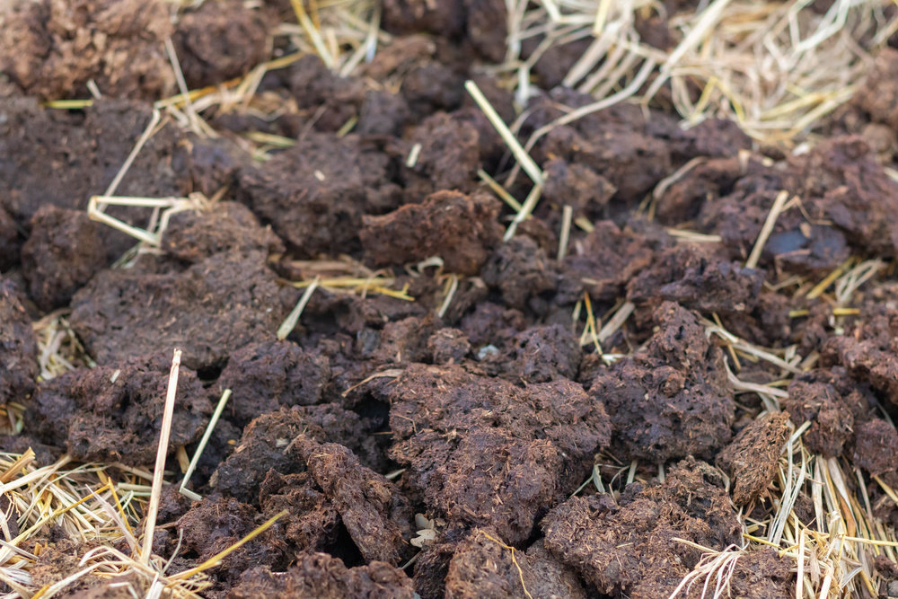 植物源有机肥生态种植,植物源有机肥适合果树吗