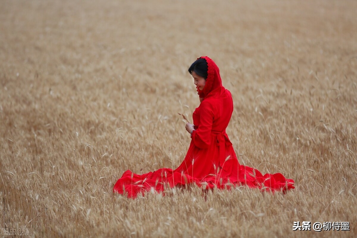 拍摄失误毁照片,拍摄失误的镜头叫什么