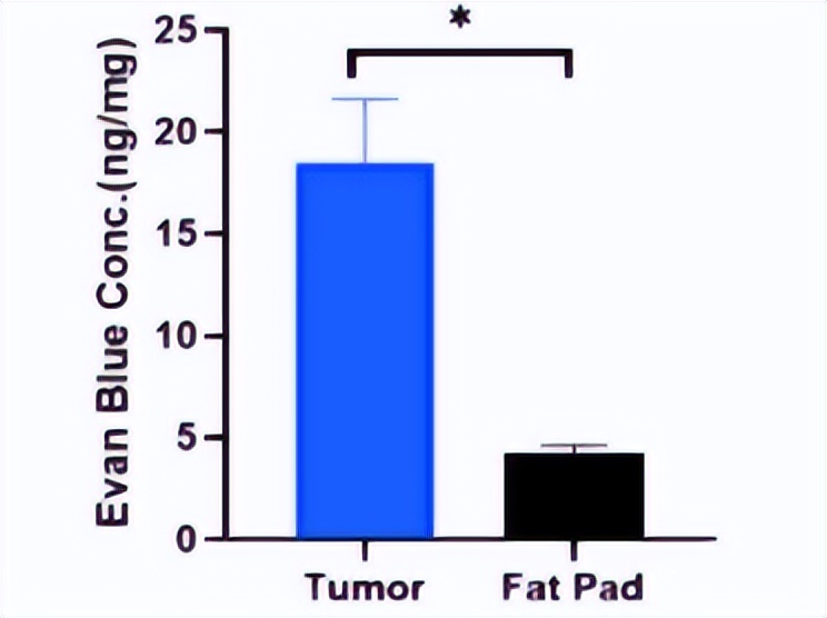 催化光度法测定褪色反应速率常数，用物理化学新实验