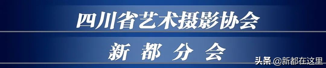 新都区老影像,新都记忆老照片