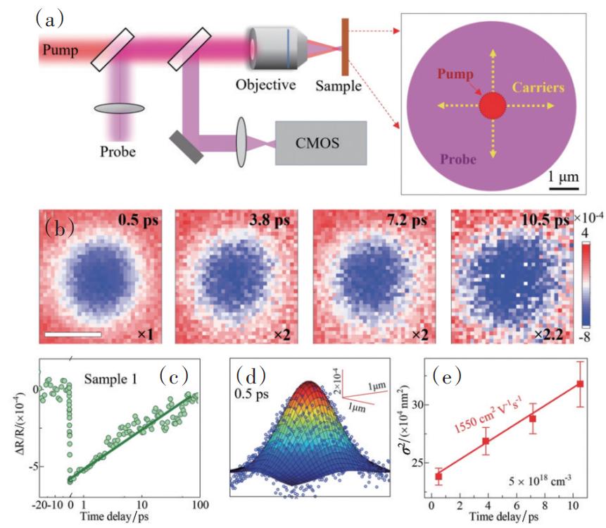 2022年中国重大科学、技术和工程进展|科技导报