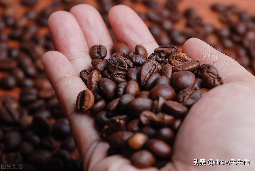 牙买加蓝山和哥伦比亚咖啡,咖啡牙买加蓝山