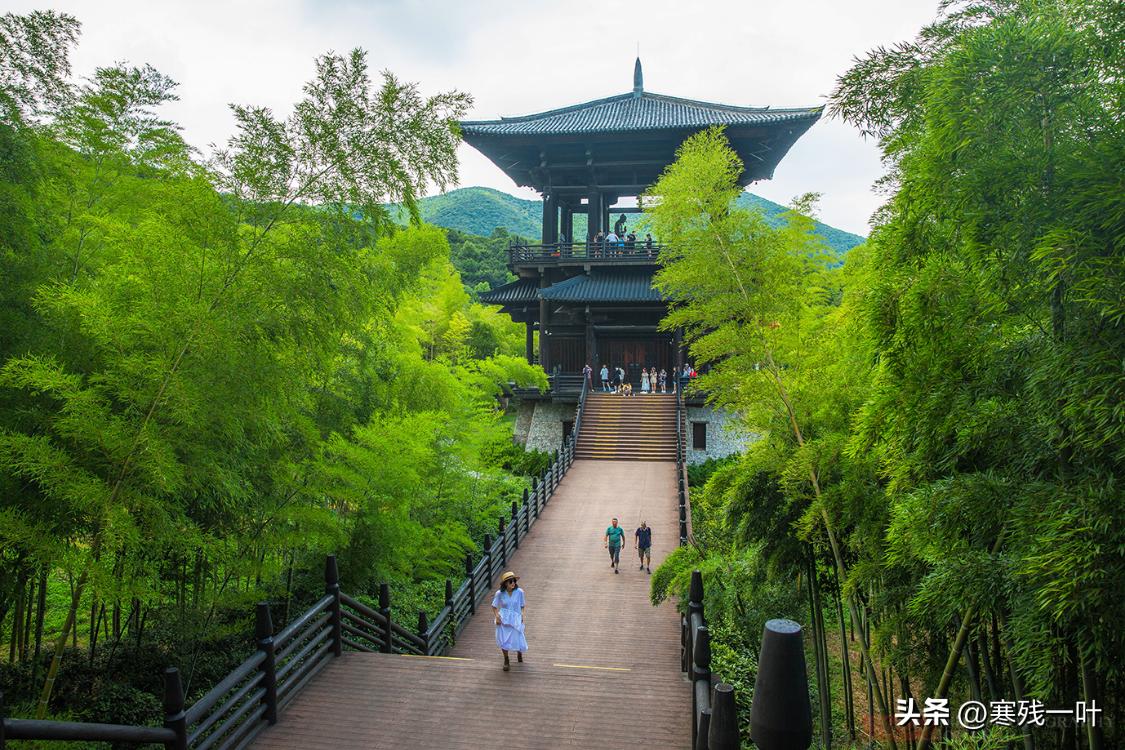 我国历史上出现最早的茶,中国排名第一的茶是什么茶