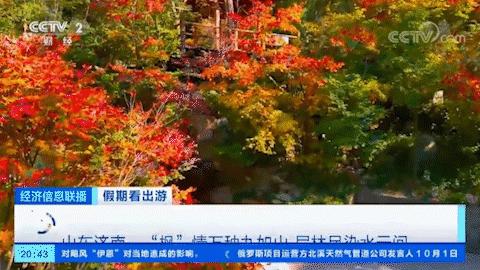 美得正当时！这个秋天，济南九如山值得你为之奔赴