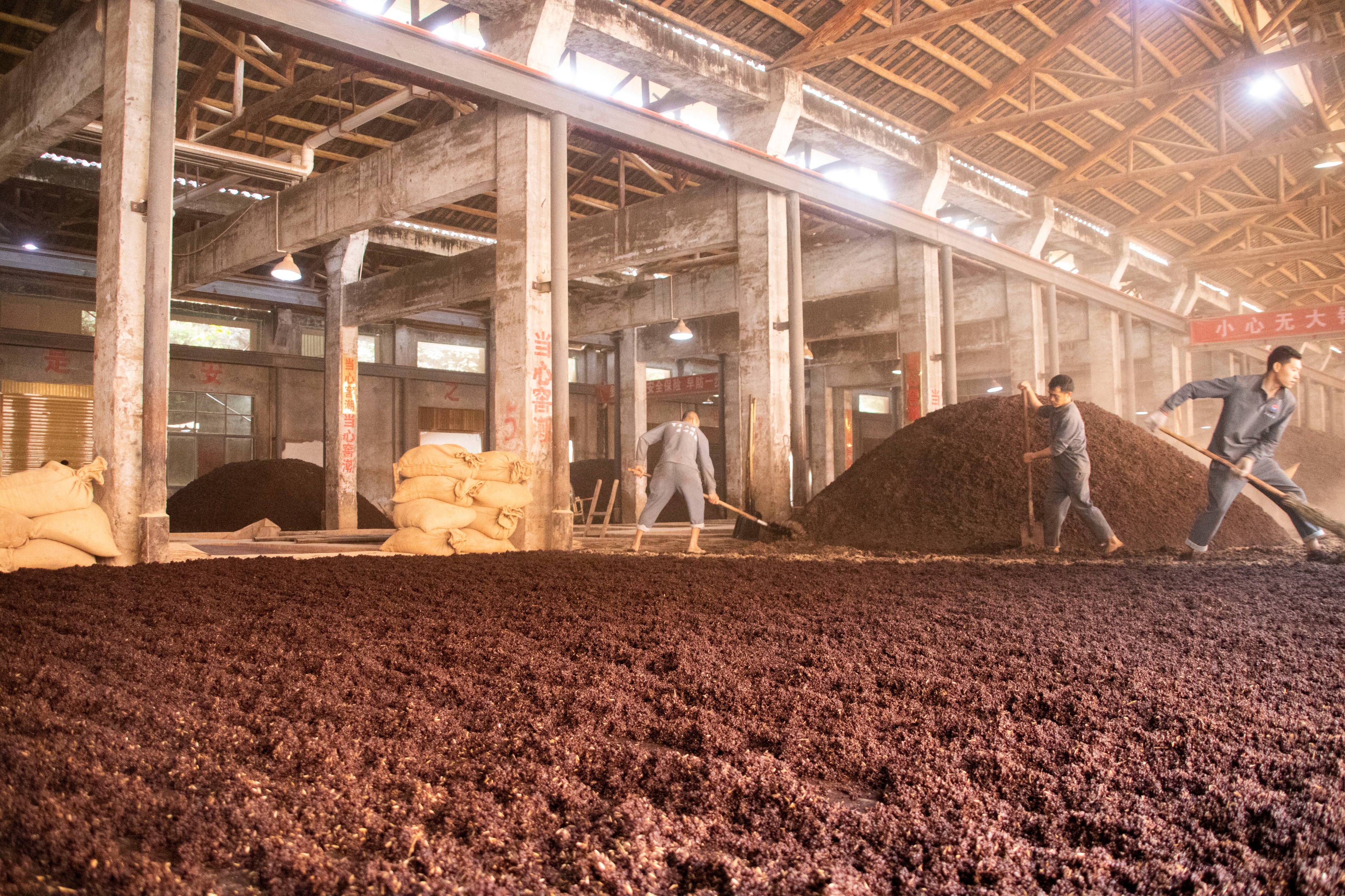 揭秘茅台镇酱酒热背后的秘密