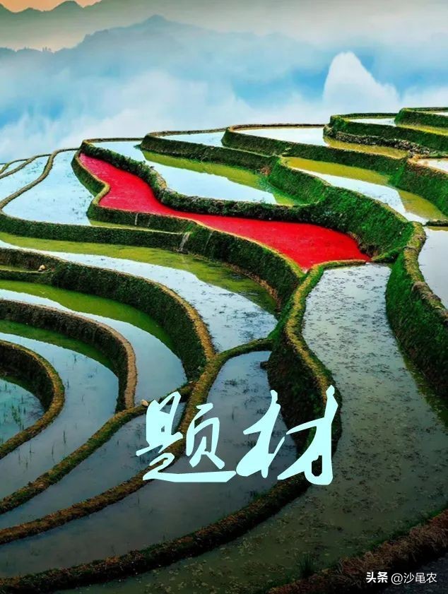 股市大跌快进快出,股市早8