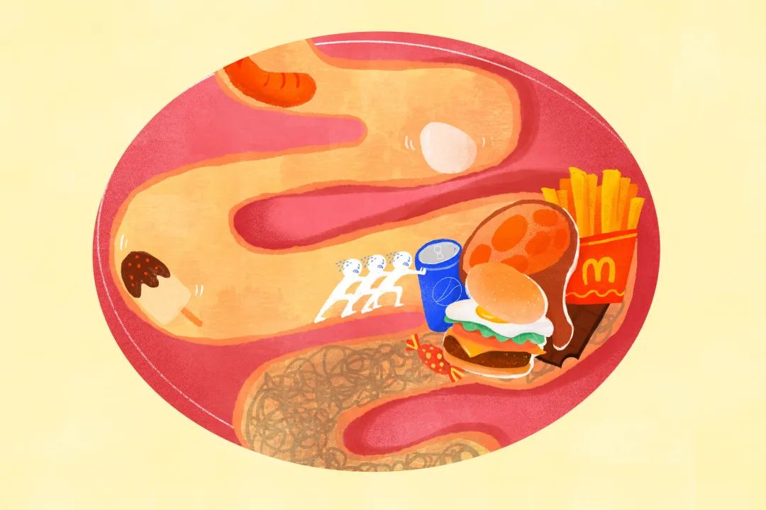 麦迪森健康,麦迪森健康知识