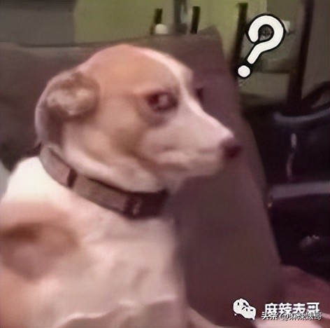 毛晓彤陈翔最新信息,毛晓彤陈翔现在怎么样了