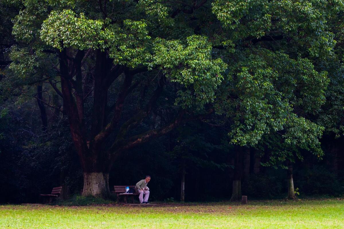 社保交得越早越划算吗,买社保到什么时候领钱