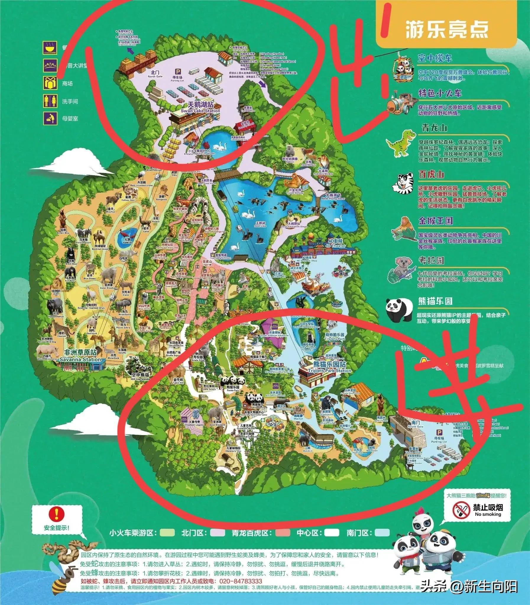 长隆野生动物园两大一小,长隆野生动物园一家三口