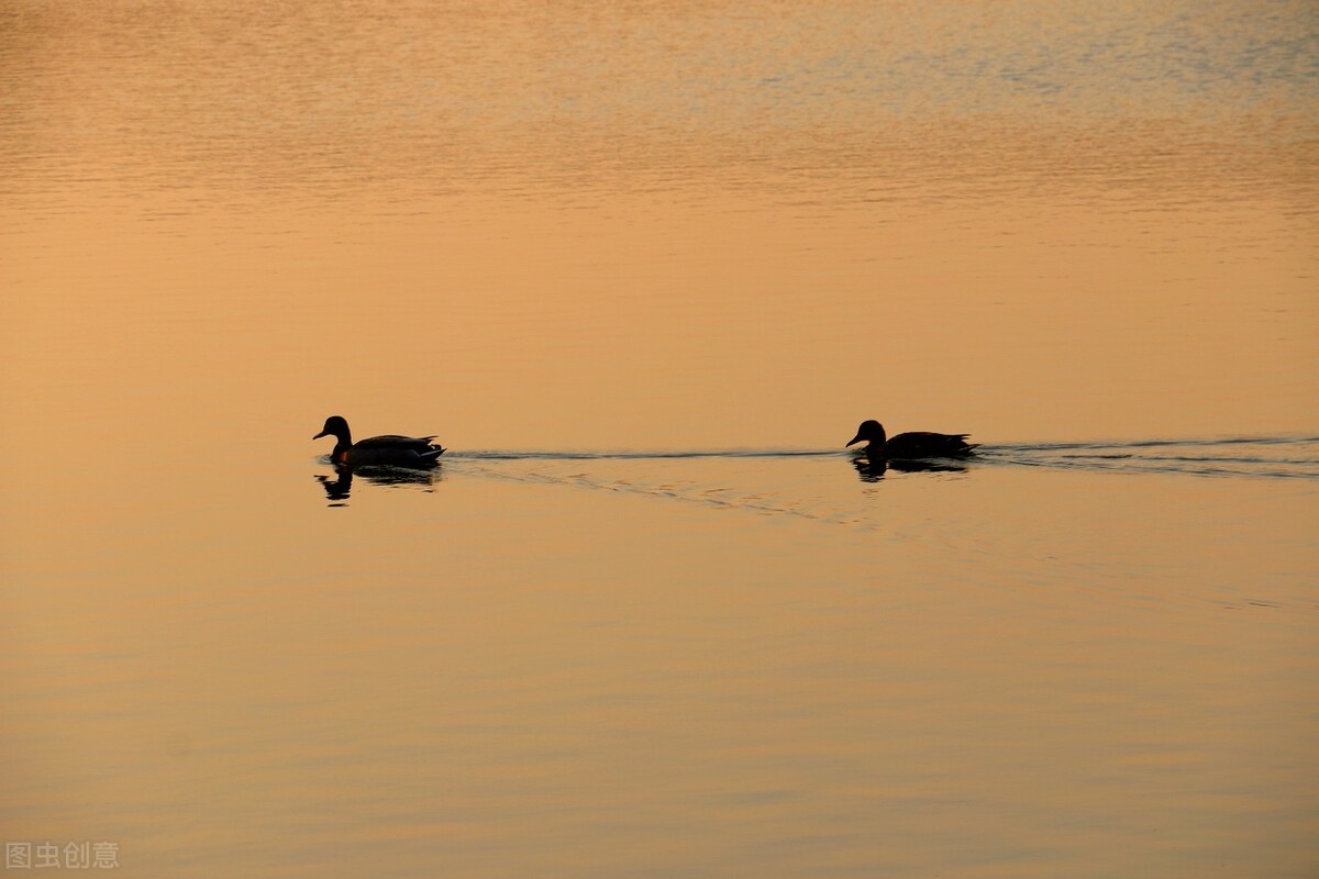 高血压，烦躁、失眠、头痛？这张方子调气机，通三焦，巧妙化解