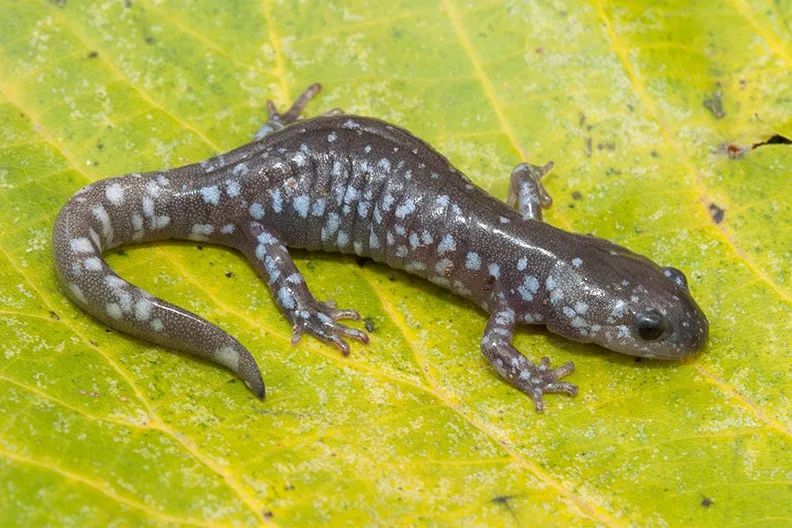 令人难以置信的20个事实,最难以置信的15个事实