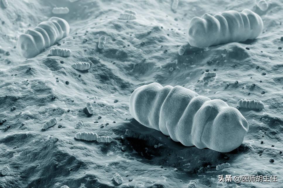 如果肠道长息肉身体会有哪些反应,肠道长息肉会有什么症状