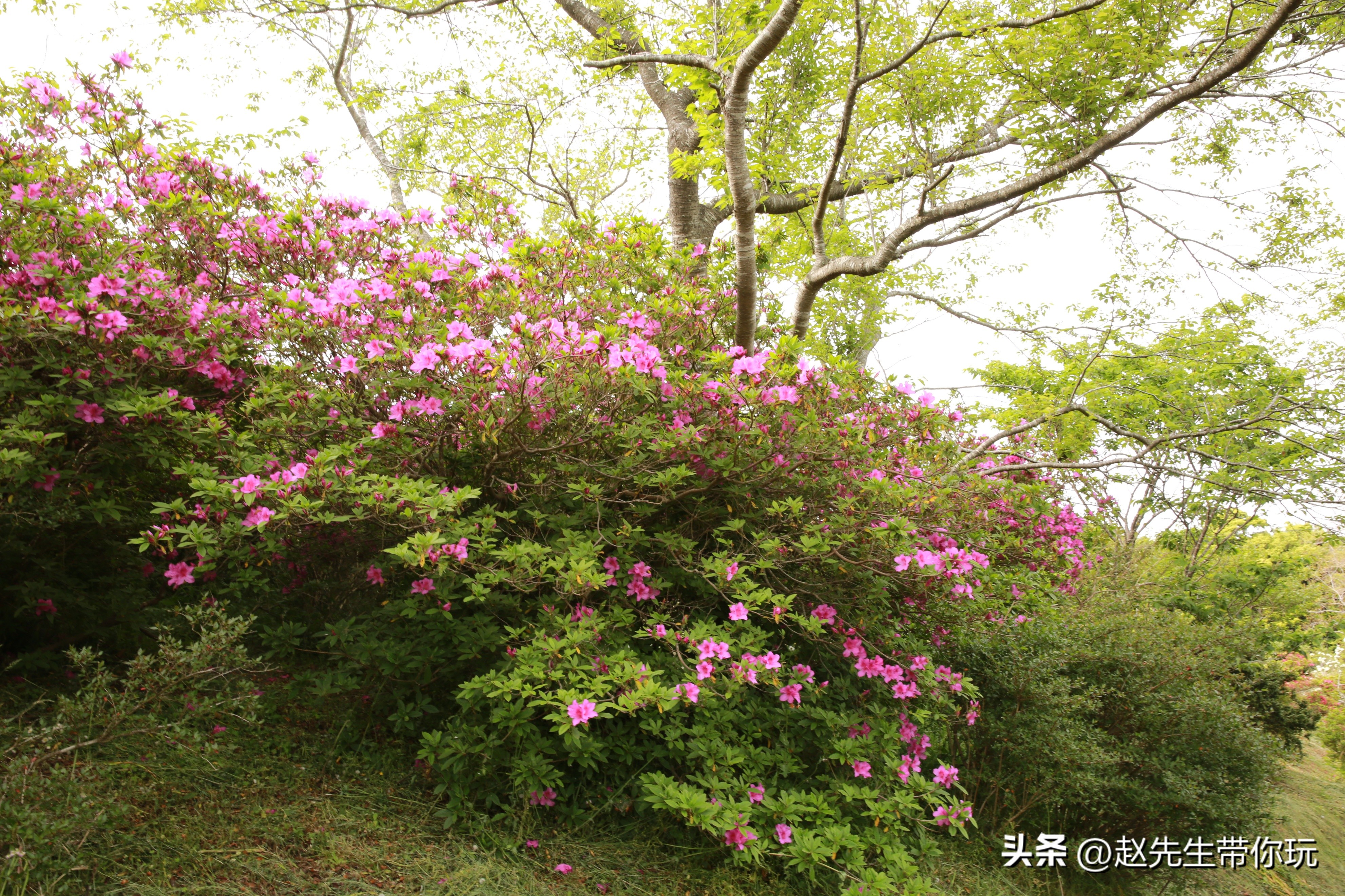 20年旅行总结,二十年游历分享