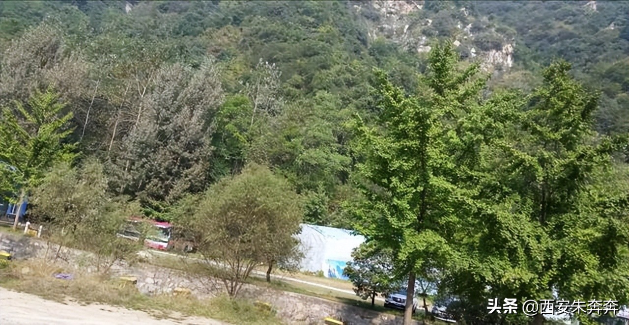 翠华山爬山攻略,翠华山爬山攻略一日游