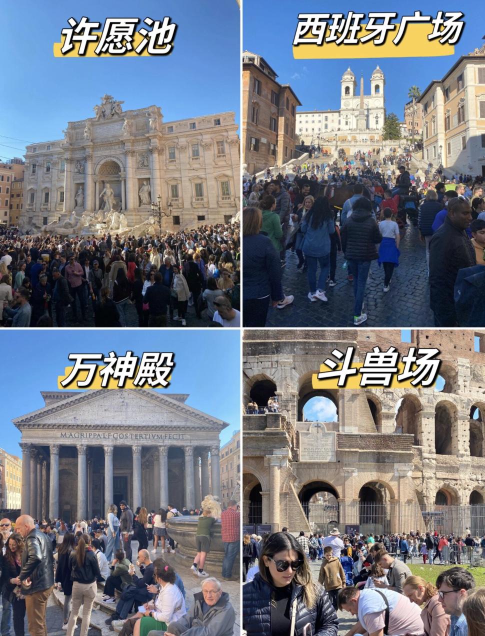 罗马勒沃库森球迷,罗马球迷欢呼