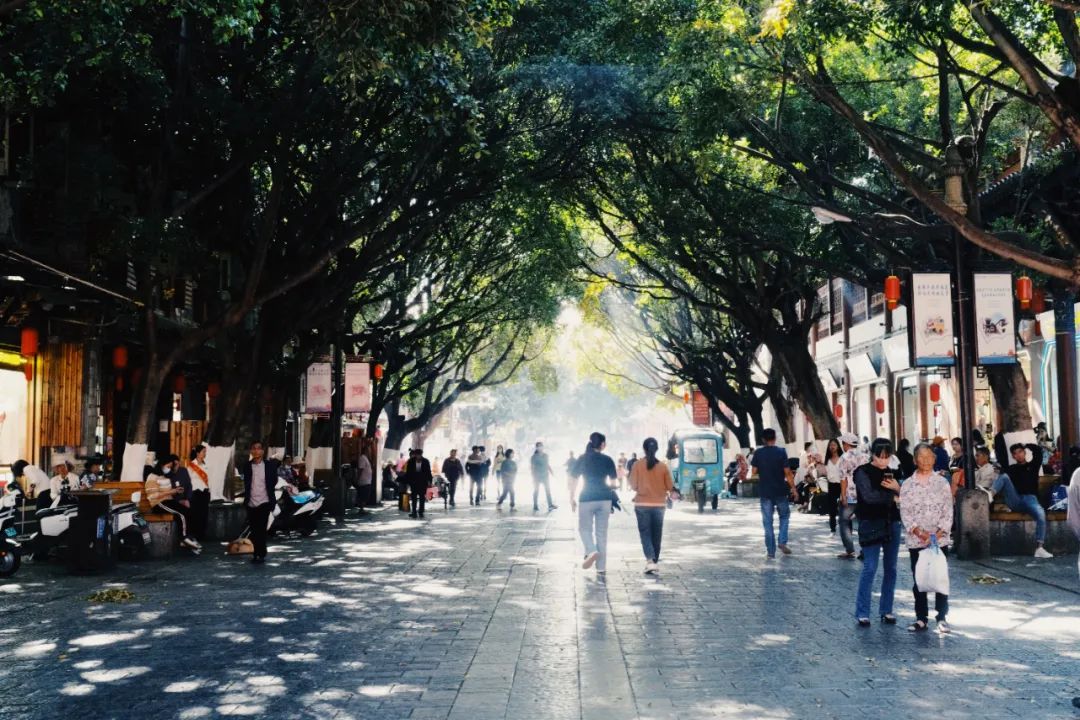 公司的旅游团建必须去吗,旅游团建机构有哪些好的