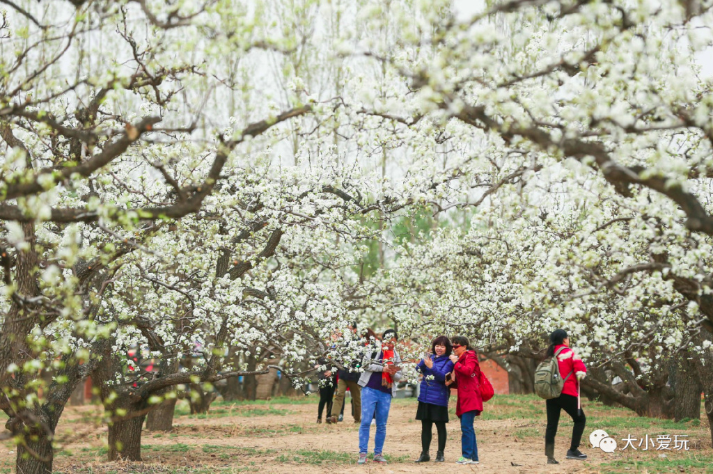 周末来袭快看看可以游玩的好去处 (游玩攻略这些地方你一定要看一看)