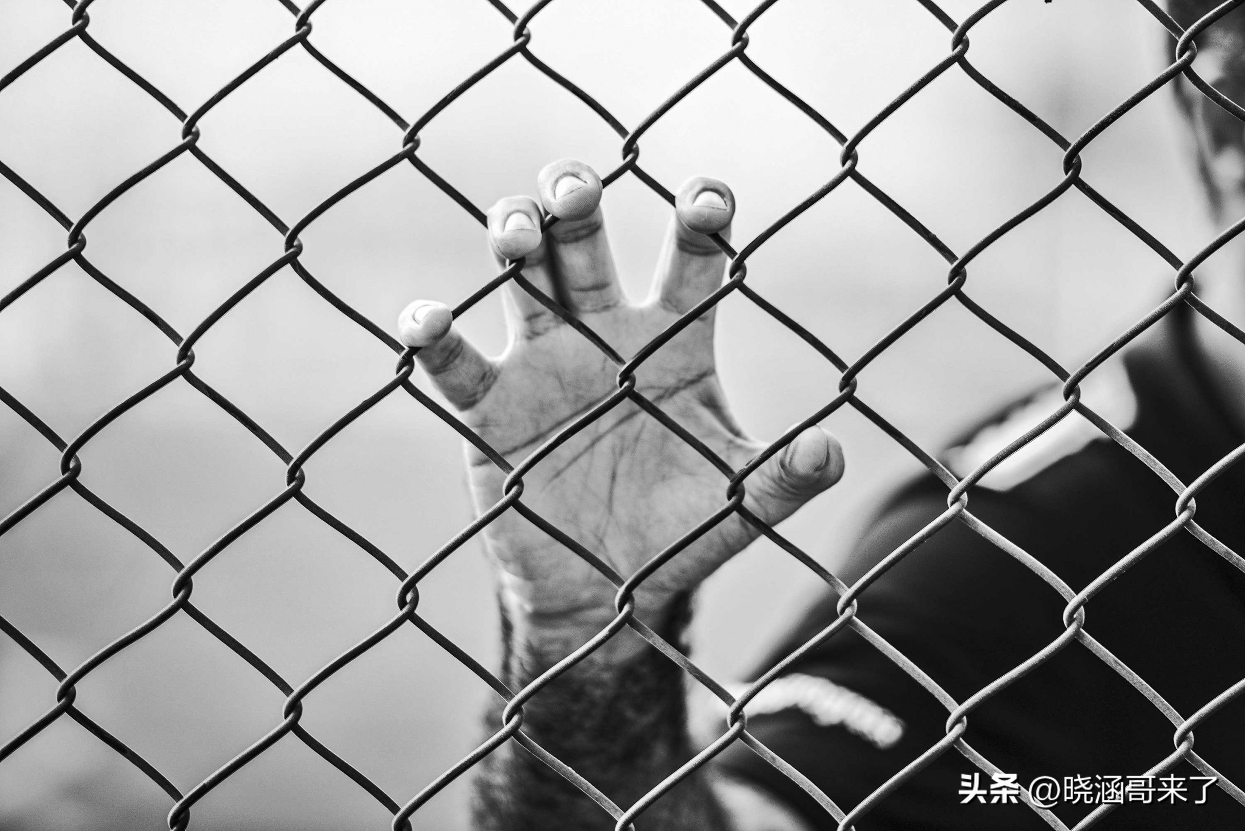 日本越狱之王真实事件,日本越狱王最后结局