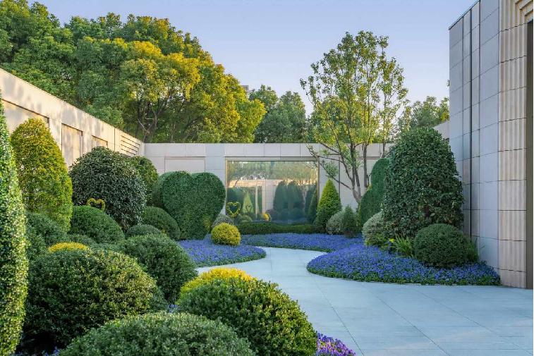 那些被我们忽略的风景,球球景观