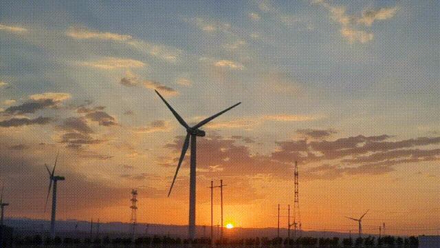 实话实说，一位53岁的员工，记录了他在金沙河一年的感触……