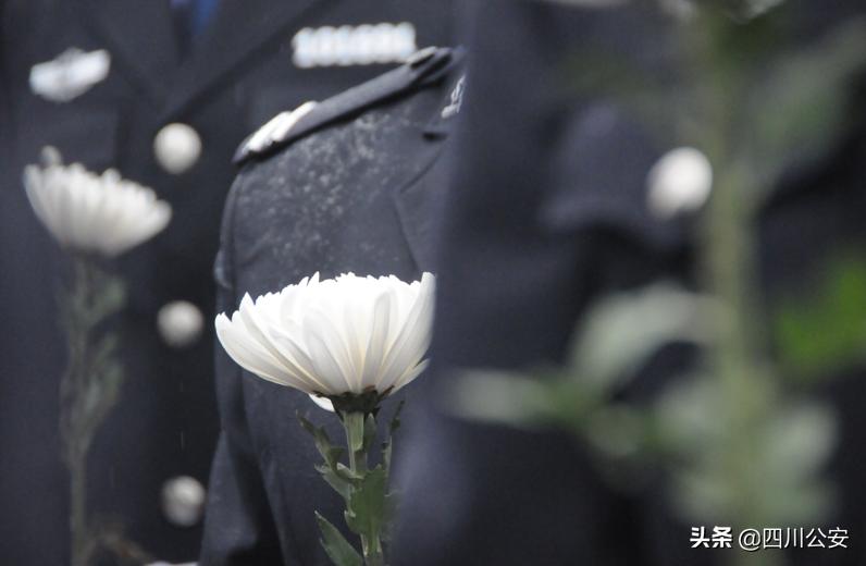 致敬缅怀奋进2022清明云诗会,缅怀先烈砥砺奋进清明扫墓活动