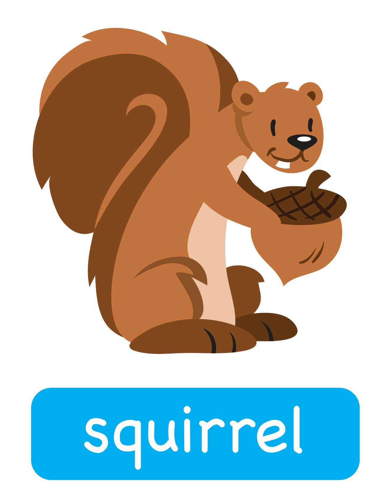 图说英语单词：高清动物类卡片，一图一单词