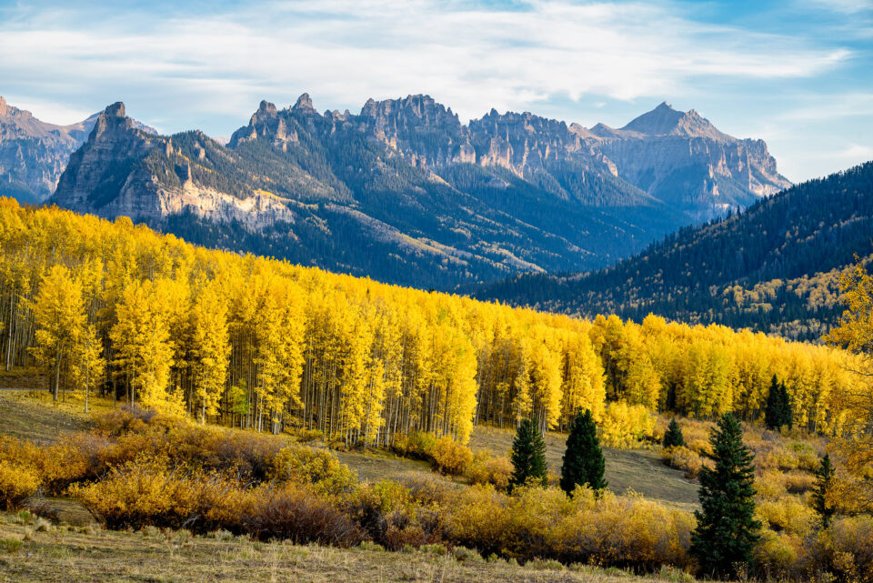 尼康微单入门级哪款性价比高,尼康无反相机最新视频