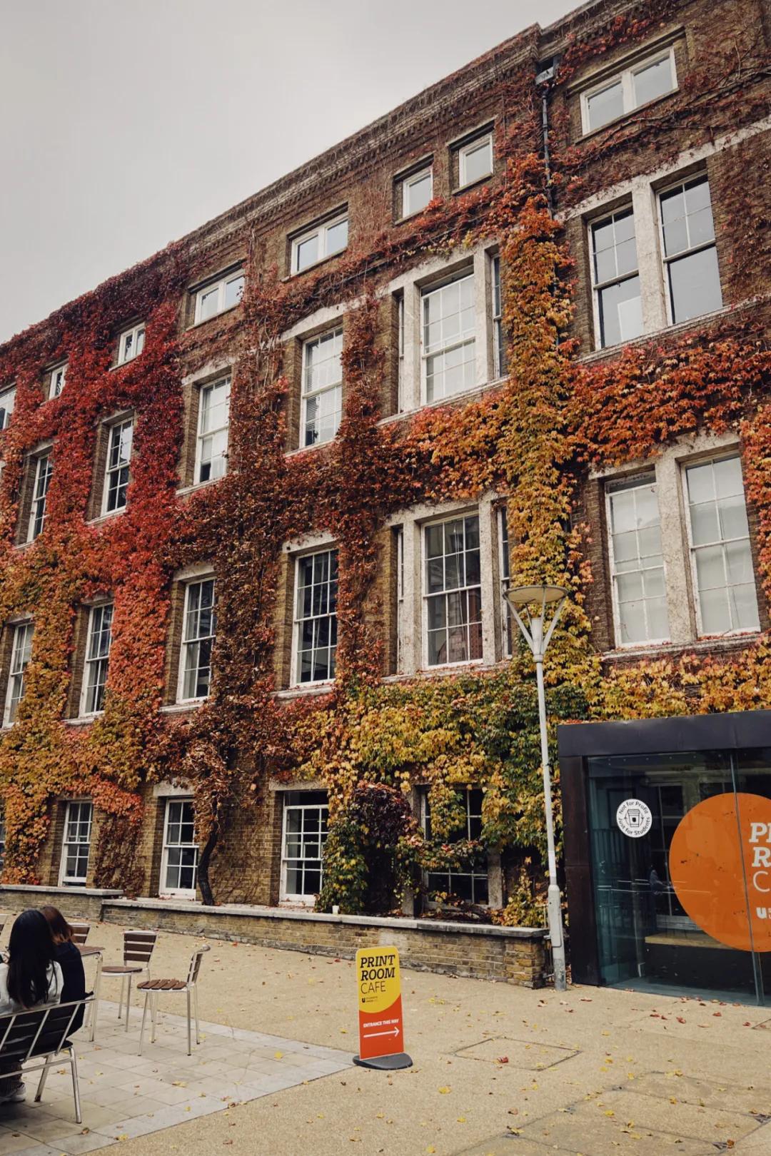 ucl伦敦大学学院接受几种语言,ucl伦敦大学和香港大学哪个好