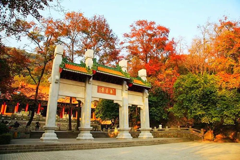 广州台山市二日游,台山川山群岛一日游