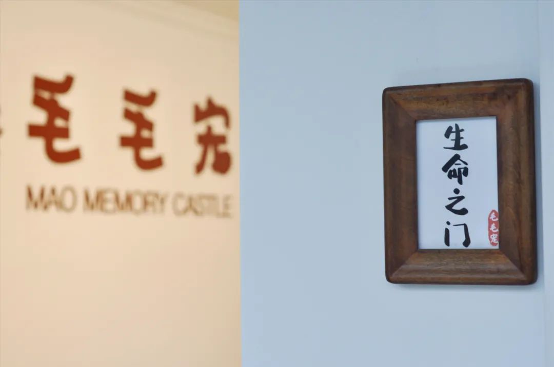 宠物殡葬公司加盟品牌排行,宠物殡葬馆加盟哪家便宜又正规