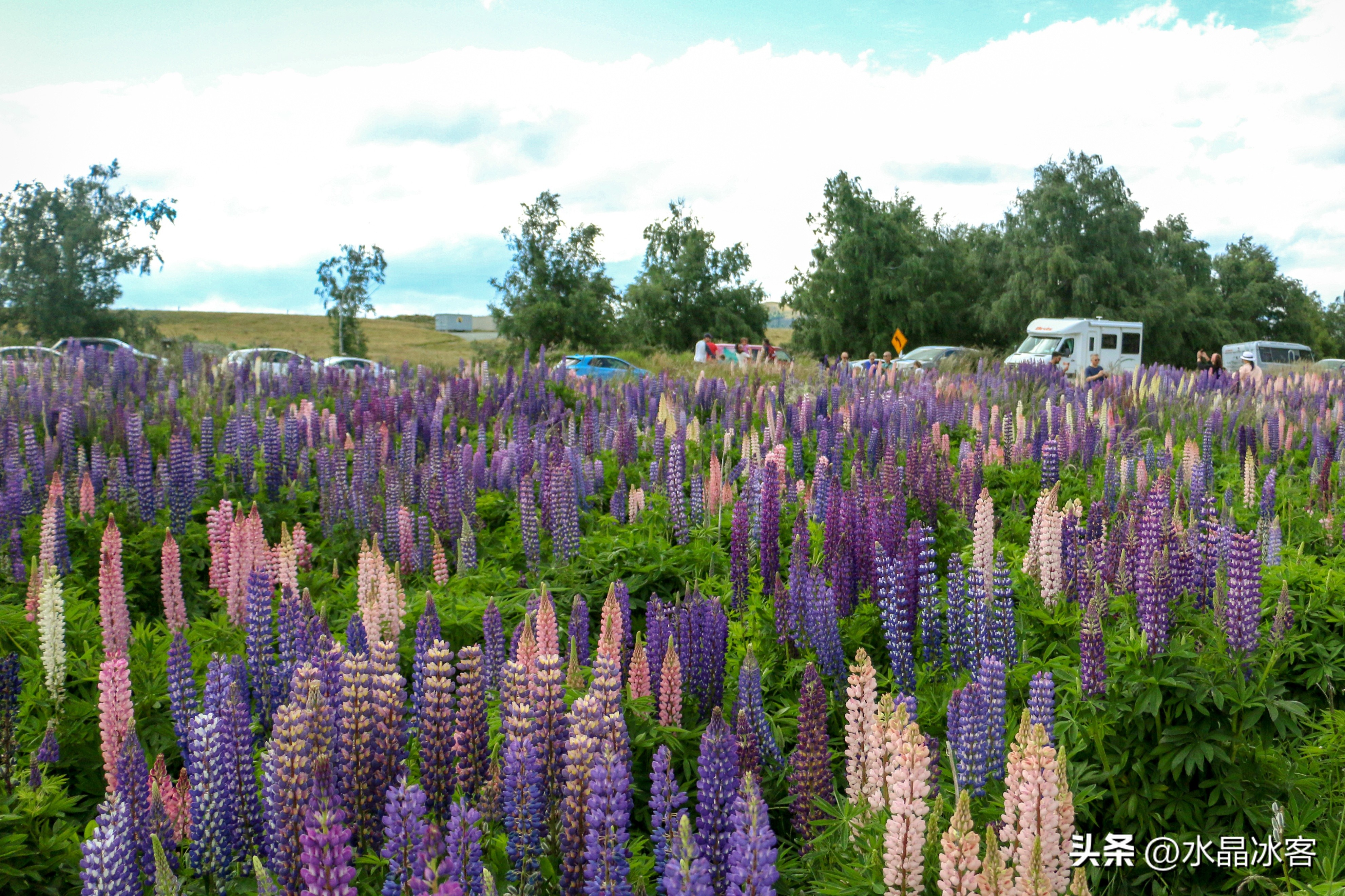 南岛新西兰之旅,新西兰之南岛