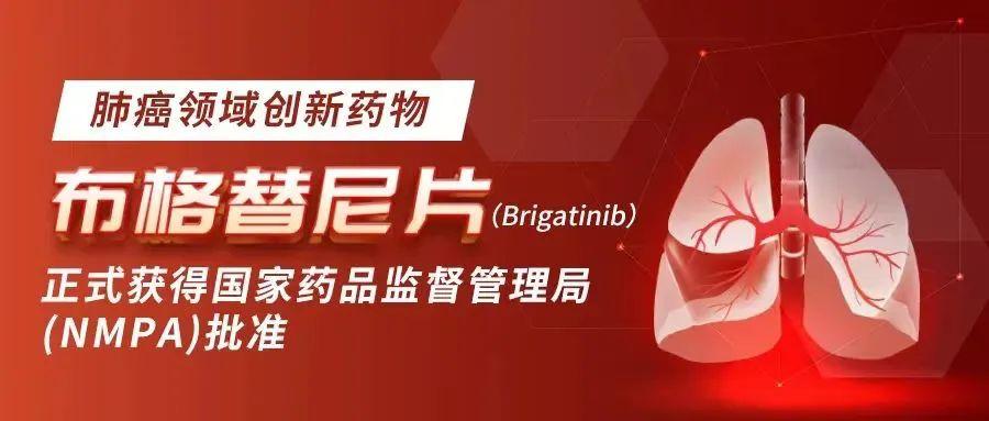 武田布格替尼片,武田布格替尼片价格