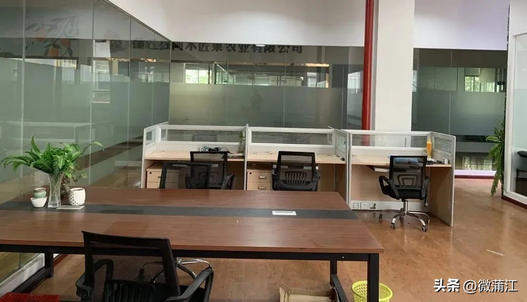 蒲江电商发展模式,蒲江县电商孵化园