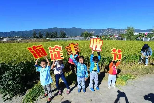 消费季来咯,海淀消费季