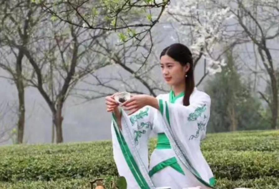 源自不系舟微博《鹦鹉洲》