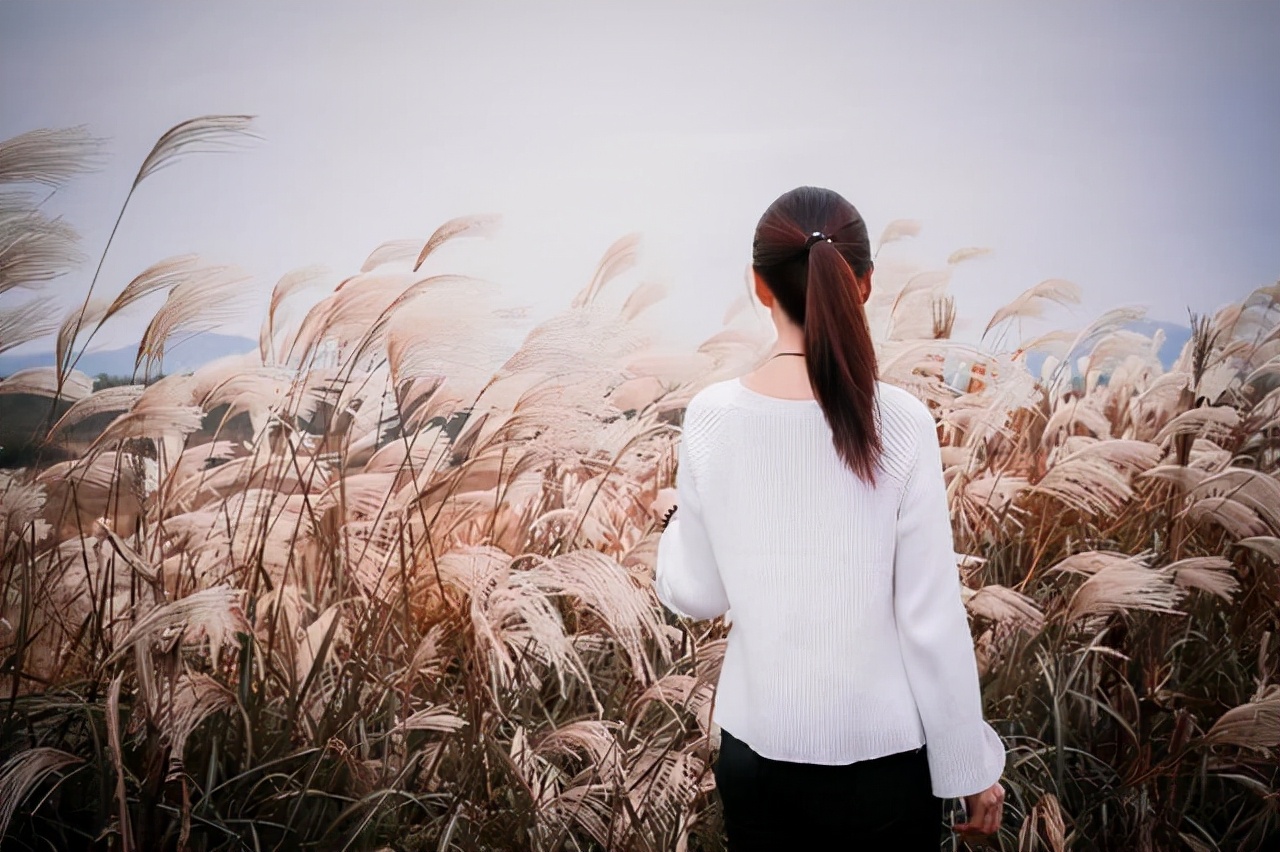 你若精彩天自安排作文600字,你若精彩天自安排作文800字