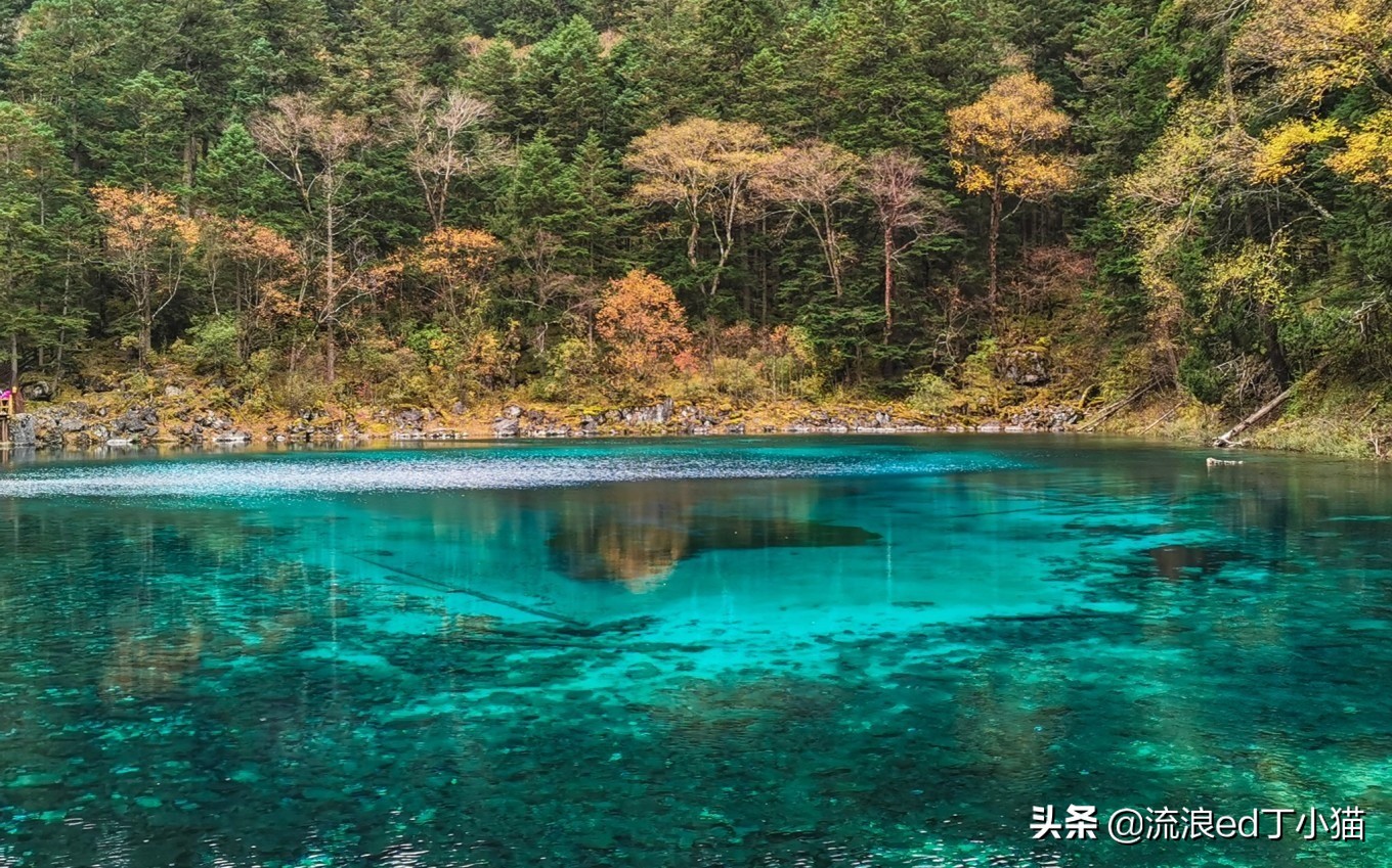九寨沟里最美酒店,九寨沟顶级风景酒店