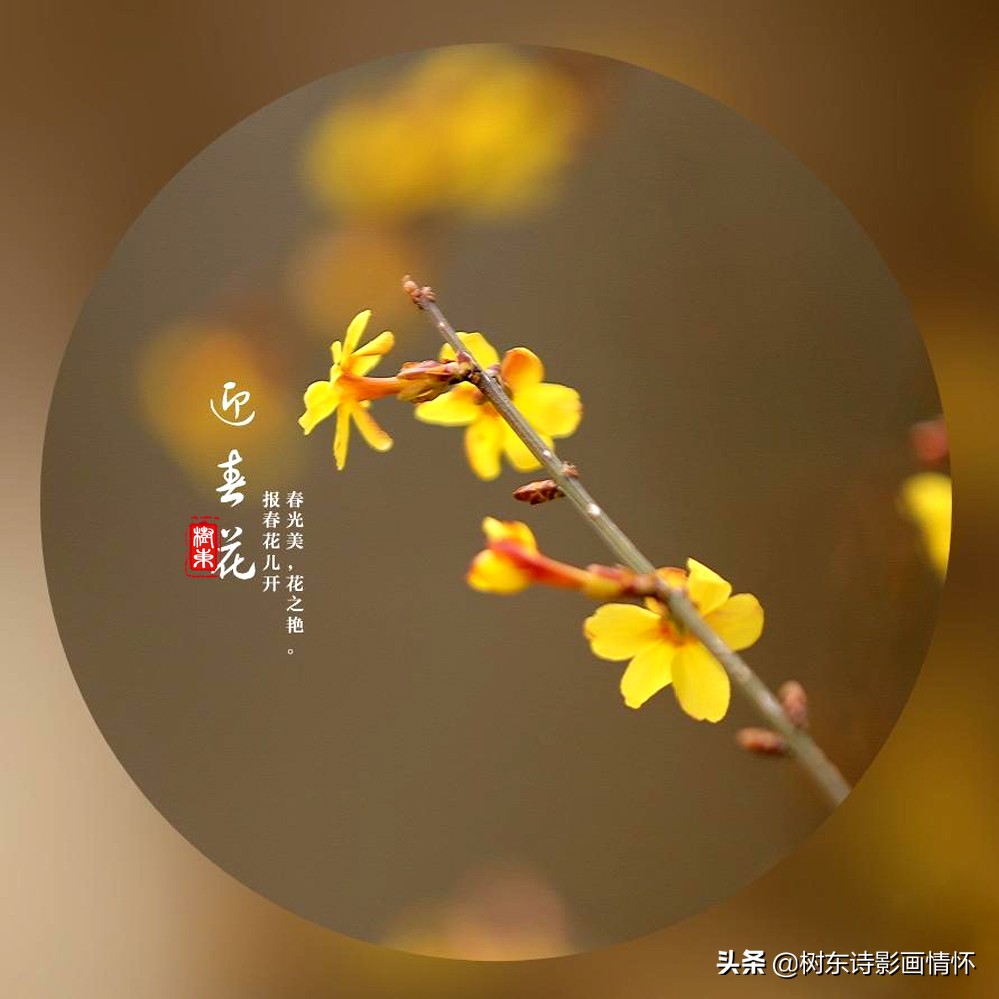 诗词中最美的春天,100句诗词写出最美的春天