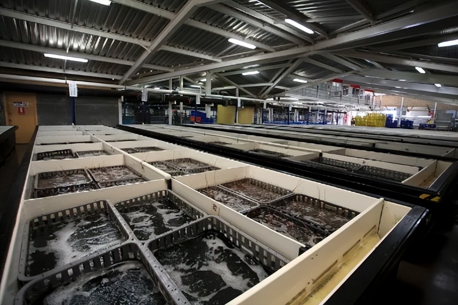 即食海参的加工方法谁知道,即食海参详情