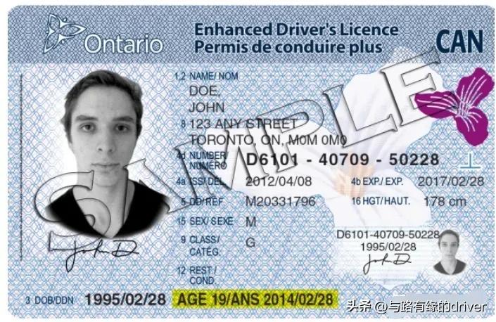 国外驾驶证在国内可以换领几次啊,驾驶证补换领的受理条件