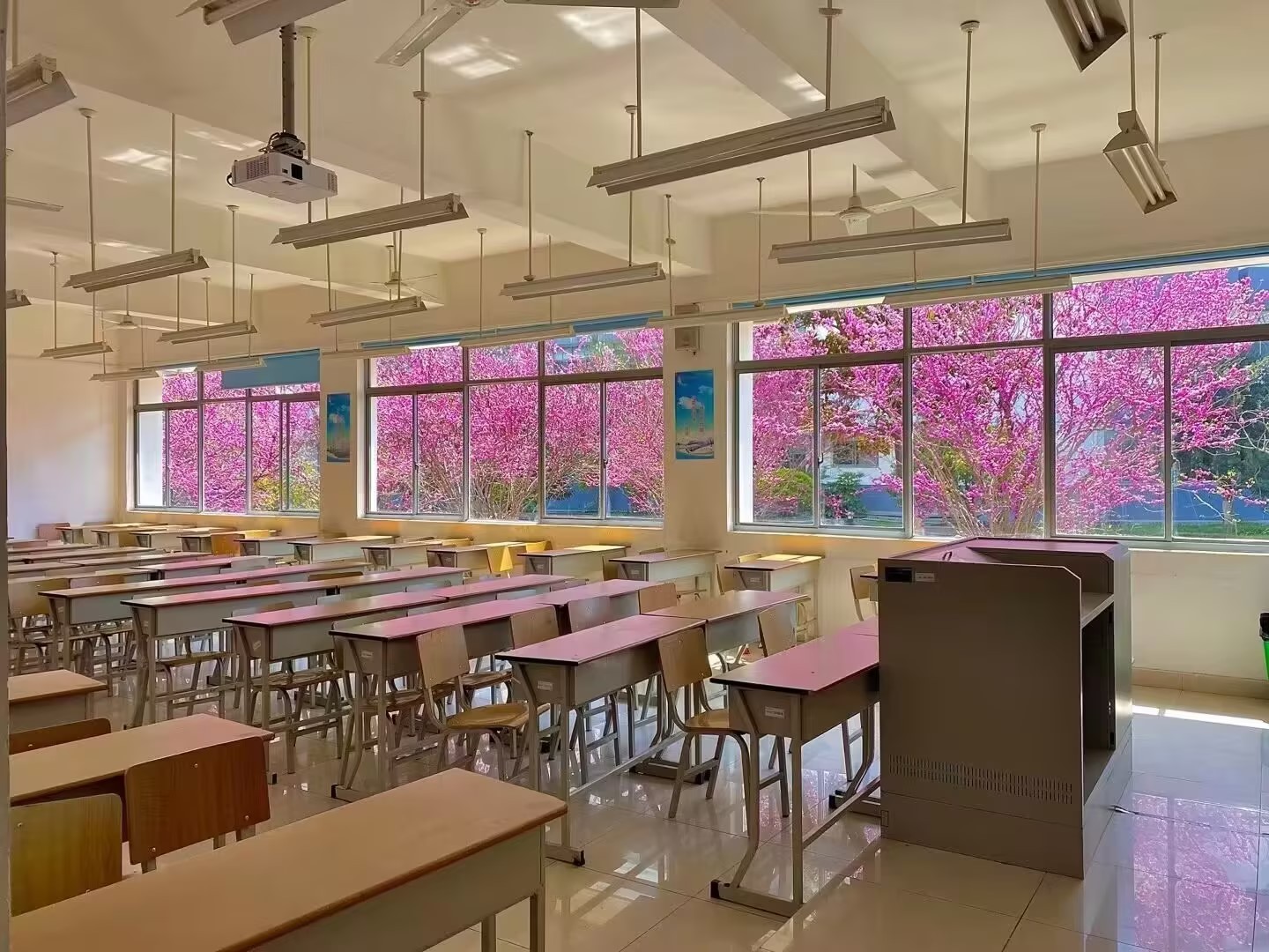 2023江苏高招丨苏州经贸职业技术学院：让每一个学生的人生都出彩实施“百名博士”和“百名技师”双百工程