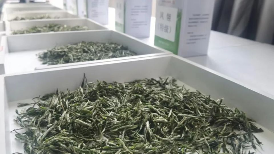 《凤冈锌硒茶“凤头羽”团体标准体系》召开技术审查会