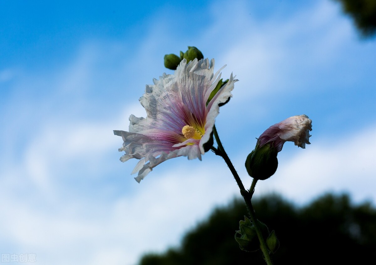 抖音最火的经典语录短句,抖音火了的经典句子短句