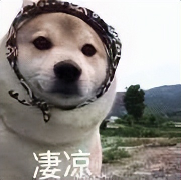 雅萌MAX美容仪,雅萌美容仪怎么样