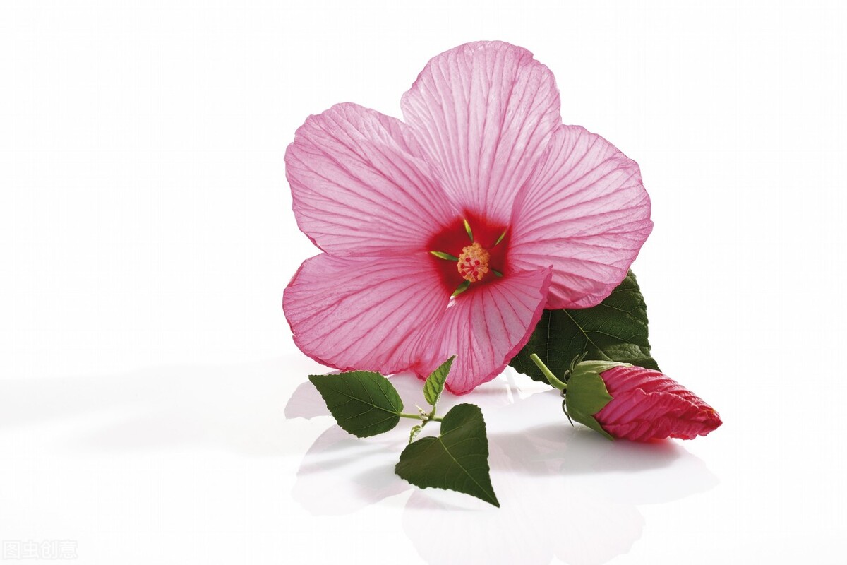 新学期送给孩子的十句话,关于新学期的成语都有哪些