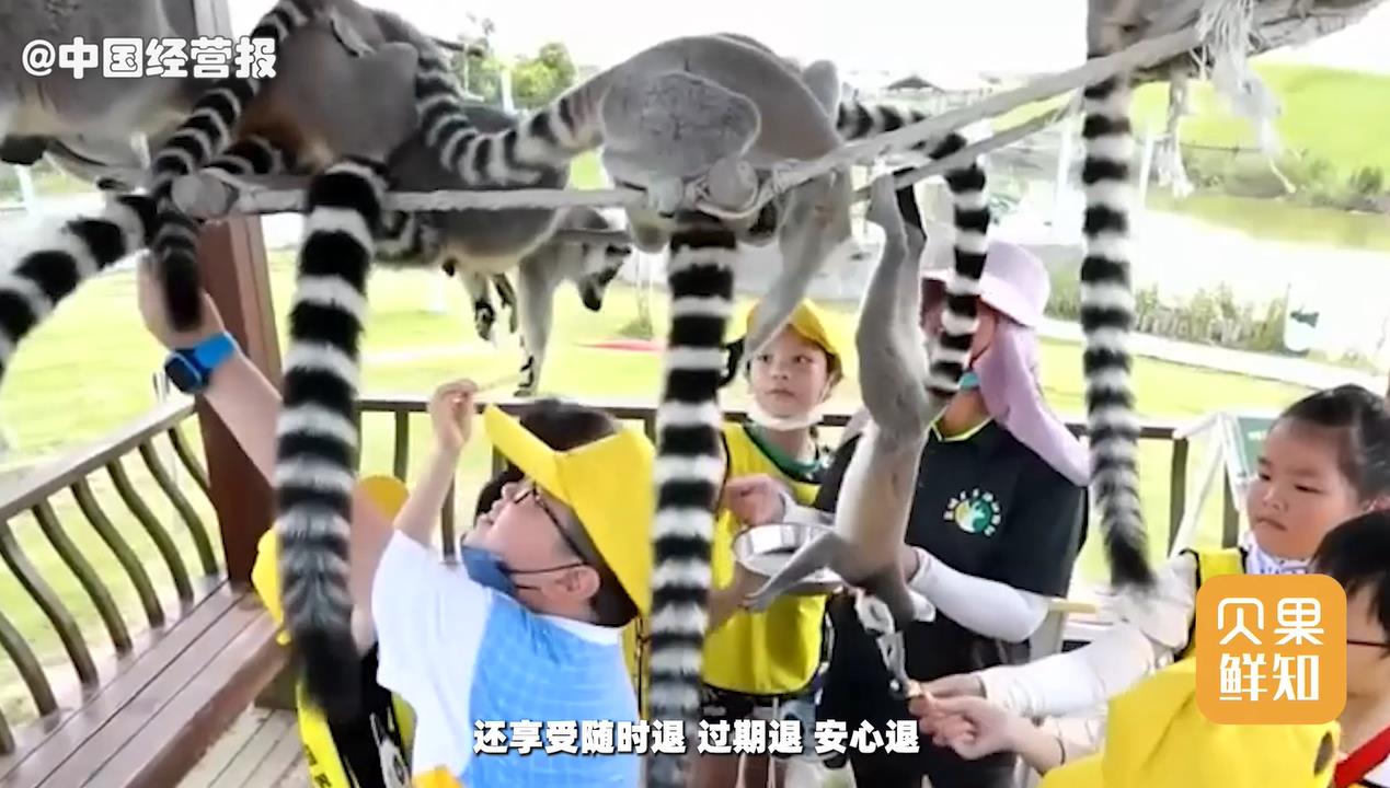 旅游业也玩起了期货?打骨折的酒店套餐,真能薅到羊毛?