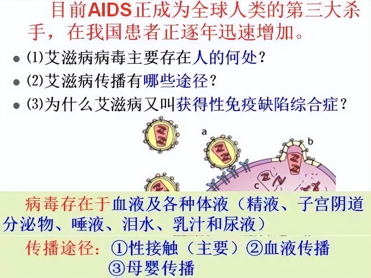 高中生物免疫失调知识点讲解视频,高中生物免疫调节