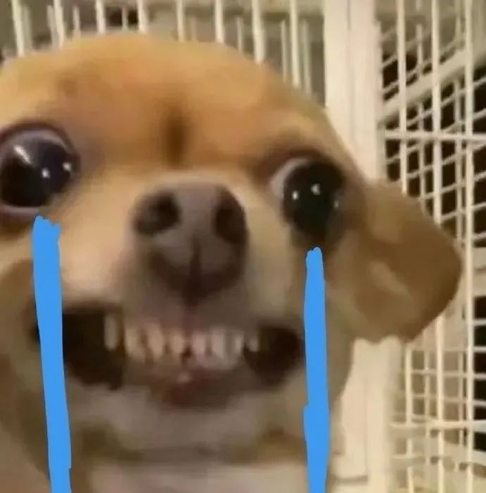 淘宝能改账号名炸出一堆段子文案,改淘宝昵称的文案