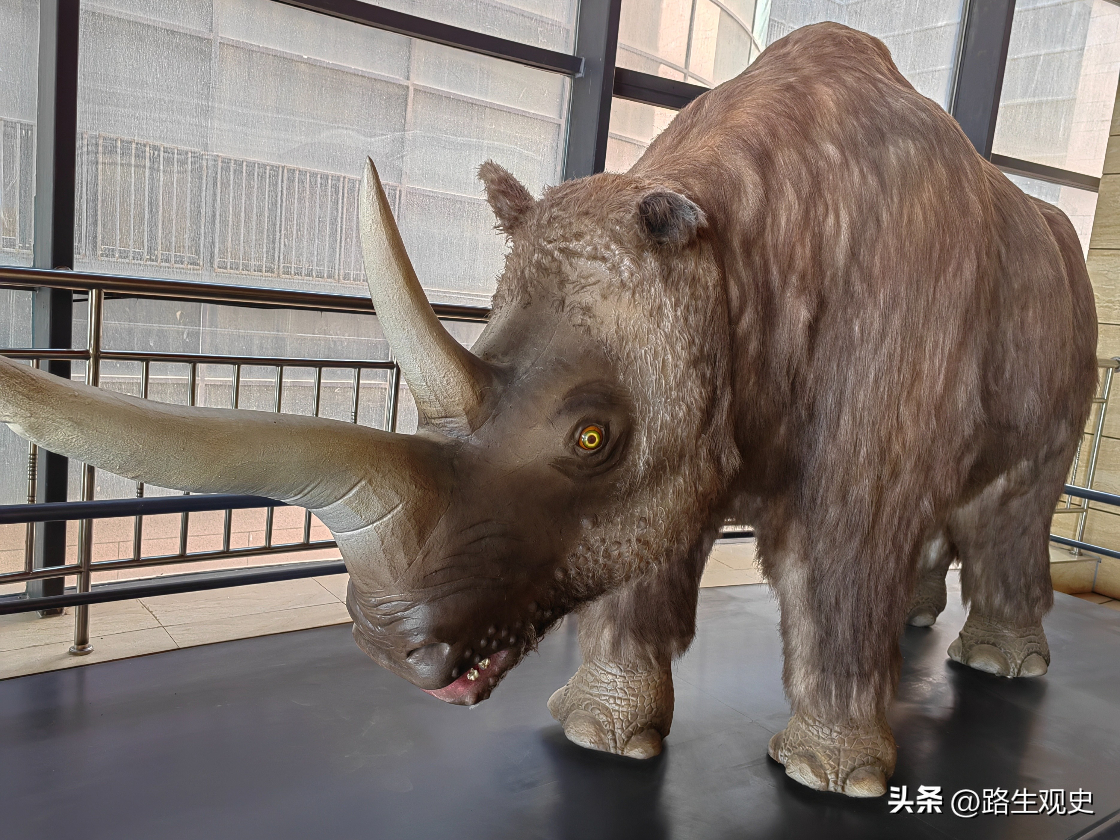 内蒙古恐龙遗迹有哪些,内蒙古草原几百上千年前是海吗